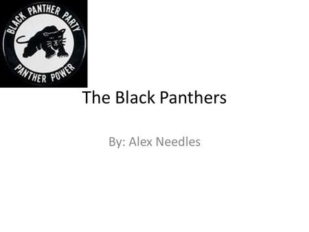 The Black Panthers By: Alex Needles. What the Black Panthers were The Black Panthers were initially formed to protect local communities from brutality.