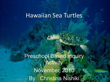 Hawaiian Sea Turtles Preschool Based Inquiry Activity November, 2010 By: Christina Nishiki.