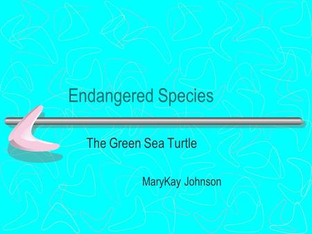 Endangered Species The Green Sea Turtle MaryKay Johnson.