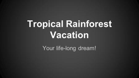 Tropical Rainforest Vacation Your life-long dream!