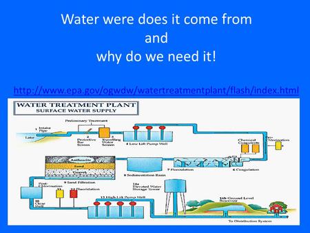 Water were does it come from and why do we need it!