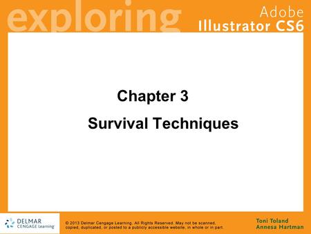 Chapter 3 Survival Techniques. Goals Discover that being an Illustrator artist is more than just knowing the tools Develop a basic understanding of the.