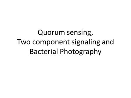 Quorum sensing, Two component signaling and Bacterial Photography.