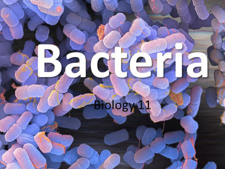 Bacteria Biology 11.