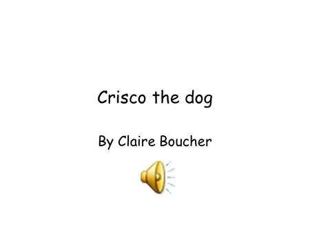 Crisco the dog By Claire Boucher One Afternoon at the Heartlake pet shop, a little puppy (who was not named) was sitting in his crate whimpering. One.