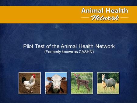 Pilot Test of the Animal Health Network (Formerly known as CASHN)