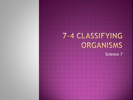 Science 7.  Explain why biologists classify organisms.  Relate the levels of classification to the relationships between organisms.  List characteristics.