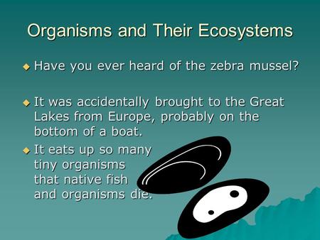Organisms and Their Ecosystems  Have you ever heard of the zebra mussel?  It was accidentally brought to the Great Lakes from Europe, probably on the.