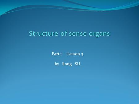 Structure of sense organs