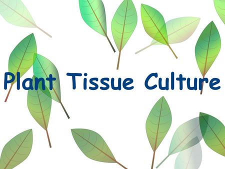 Plant Tissue Culture.
