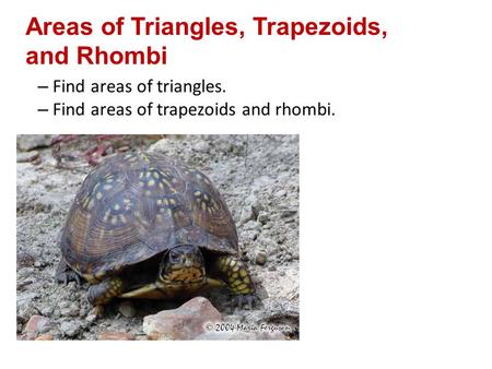 Areas of Triangles, Trapezoids, and Rhombi – Find areas of triangles. – Find areas of trapezoids and rhombi.