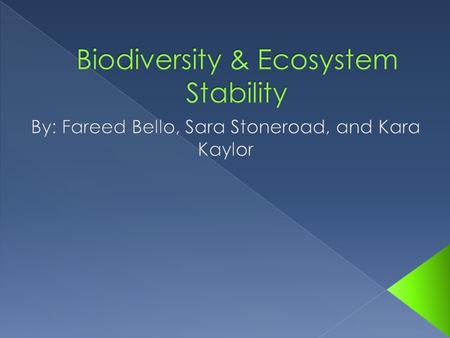 Biodiversity & Ecosystem Stability