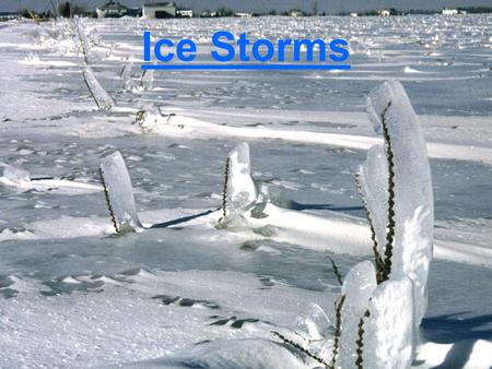 Ice Storms. Why Study Ice Storms? Ice accumulation can: –cause extensive power outages –halt air and ground transportation –cause considerable property.