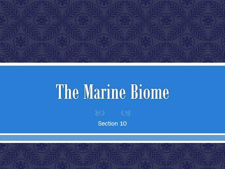 The Marine Biome Section 10.