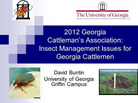 2012 Georgia Cattleman’s Association: Insect Management Issues for Georgia Cattlemen David Buntin University of Georgia Griffin Campus.