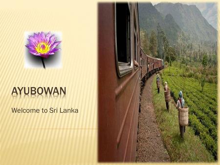 Welcome to Sri Lanka.  We offer you with most motivating and fascinating assurances of your vacation. The best services and facilities brought to you.