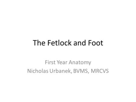First Year Anatomy Nicholas Urbanek, BVMS, MRCVS