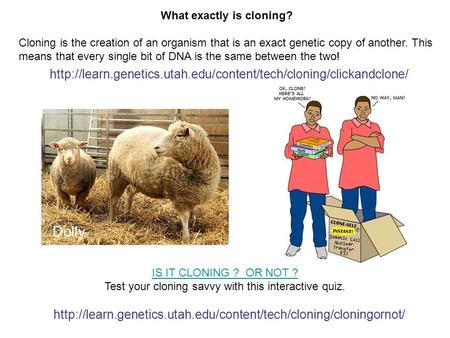 What exactly is cloning?