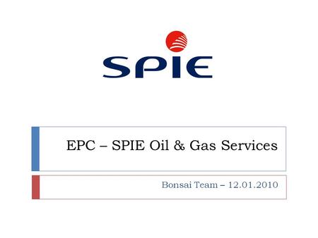 EPC – SPIE Oil & Gas Services Bonsai Team – 12.01.2010.