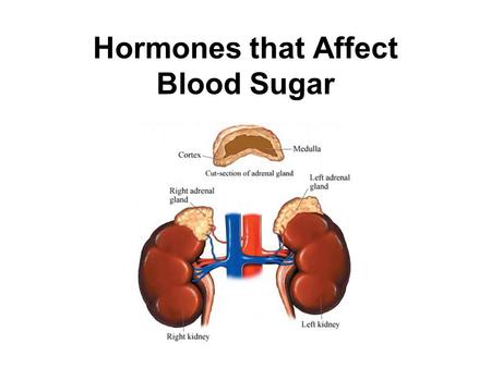 Hormones that Affect Blood Sugar