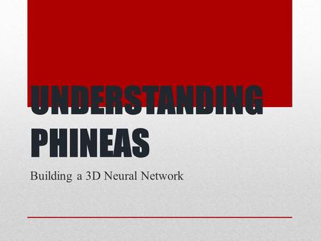 UNDERSTANDING PHINEAS Building a 3D Neural Network.