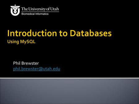 Phil Brewster  One of the first steps – identify the proper data types  Decide how data (in columns) should be stored and used.