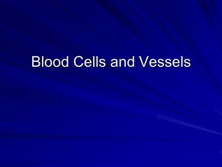 Blood Cells and Vessels