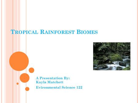 T ROPICAL R AINFOREST B IOMES A Presentation By: Kayla Matchett Evironmental Science 122.