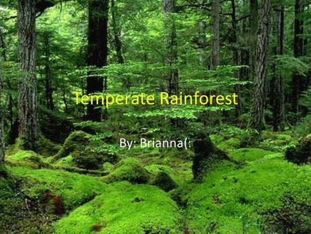 Temperate Rainforest By: Brianna(:.