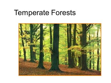 Temperate Forests. Temperate forests are found primarily in North America and Eurasia.