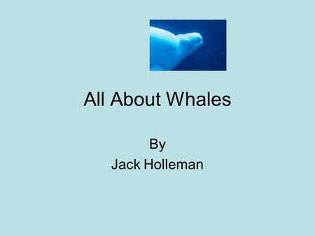 All About Whales By Jack Holleman. Time to eat A young calf drinks milk. Some whales eat fish and small sea animals. Some Whales eat with baleen. A lot.