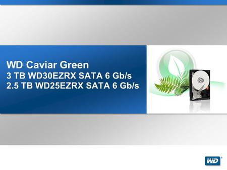 ® WD Caviar Green 3 TB WD30EZRX SATA 6 Gb/s 2.5 TB WD25EZRX SATA 6 Gb/s.