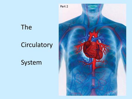 The Circulatory System Part 2. Review from last class.