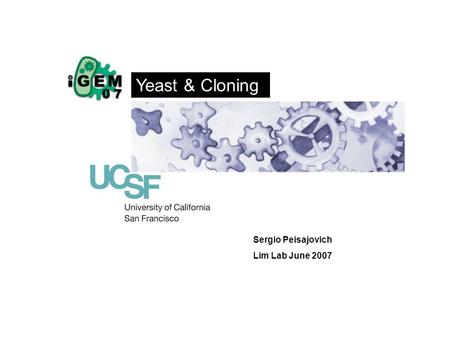 Yeast & Cloning Sergio Peisajovich Lim Lab June 2007.