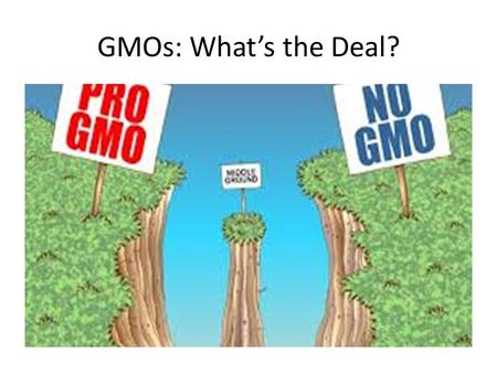 GMOs: What’s the Deal?. Warmup What do YOU think a GMO is? – List here.