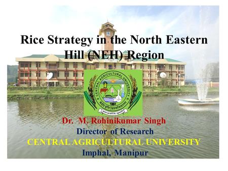 Rice Strategy in the North Eastern Hill (NEH) Region Dr. M. Rohinikumar Singh Director of Research CENTRAL AGRICULTURAL UNIVERSITY Imphal, Manipur.