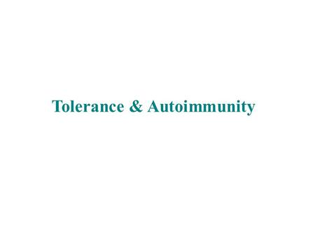 Tolerance & Autoimmunity