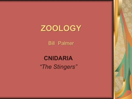 ZOOLOGY Bill Palmer CNIDARIA “The Stingers”. CNIDARIA Includes: Stinging Jellyfish Hydra (freshwater) Anemone Coral.