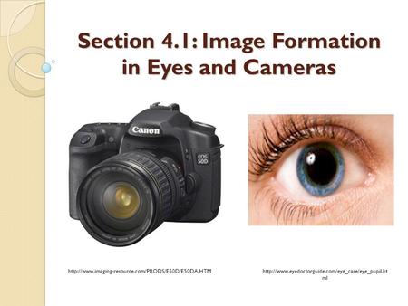 Section 4.1: Image Formation in Eyes and Cameras