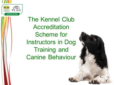 The Kennel Club Accreditation Scheme for Instructors in Dog Training and Canine Behaviour.
