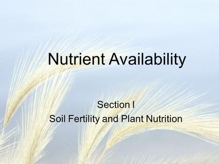 Nutrient Availability Section I Soil Fertility and Plant Nutrition.