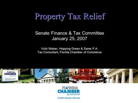 Property Tax Relief Property Tax Relief Senate Finance & Tax Committee January 25, 2007 Vicki Weber, Hopping Green & Sams P.A. Tax Consultant, Florida.