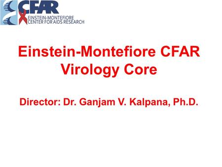 Einstein-Montefiore CFAR Virology Core Director: Dr. Ganjam V. Kalpana, Ph.D.