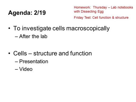 To investigate cells macroscopically