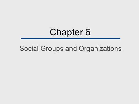Social Groups and Organizations