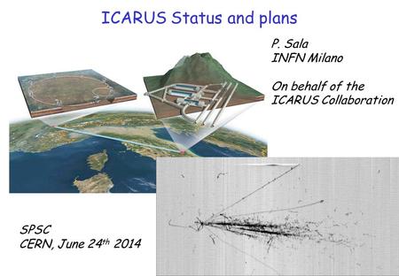 ICARUS Status and plans SPSC CERN, June 24 th 2014 P. Sala INFN Milano On behalf of the ICARUS Collaboration.