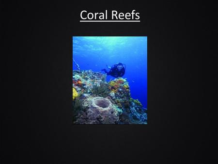 Coral Reefs. Diversity Diversity: The degree of variation of life forms within a given ecosystem, biome, or an entire planet.