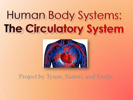 Project by Tyson, Natori, and Emily.. What is the circulatory system and what does it do? The circulatory system, also called the cardiovascular system,