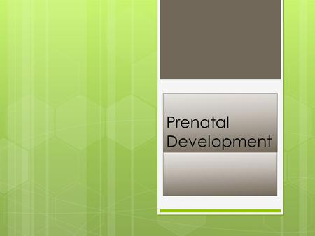 Prenatal Development. Agenda- February 9 th  1-Unit 1 Quiz  2- Begin Reading Chapter 4 in your textbooks.  3. Lesson: What are Genetic Factors?