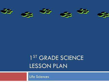 1st Grade Science Lesson Plan